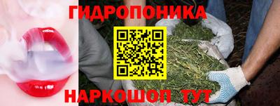 скорость Заводоуковск