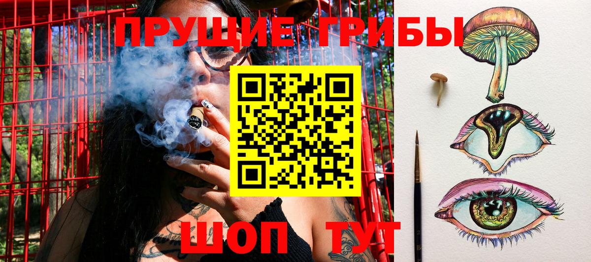 где найти   Псилоцибиновые грибы мухоморы  Вход с VPN  Лесозаводск 