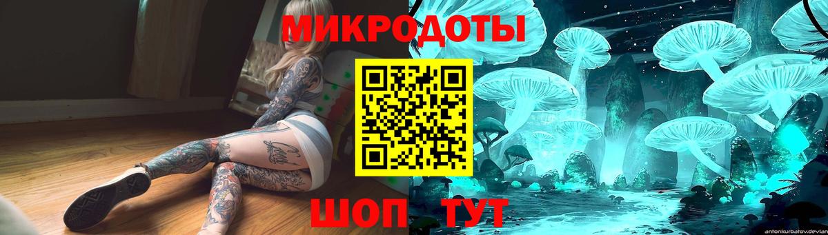 Псилоцибиновые грибы Cubensis Лесозаводск