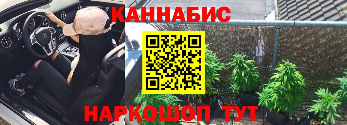 Бошки марихуана SATIVA & INDICA  Бошки марихуана конопля  Лесозаводск  Вход с VPN  Конопля конопля 